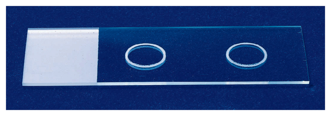 Stain Rite For Slides Rite-On Frosted Thick Slide 90° | Contact Us | Thermo Scientific | www ...