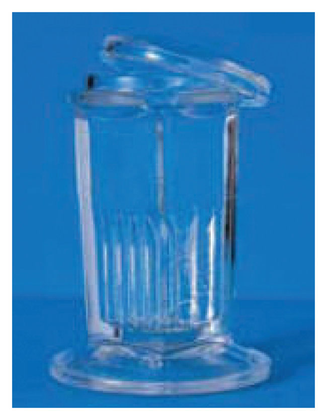 RA Lamb Glass Coplin Jar, holds 5 slides (10 back to back)