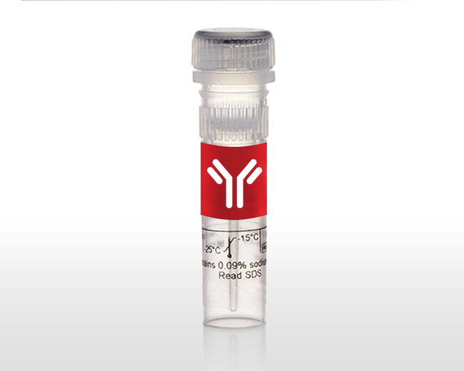 CD115 (c-fms) Monoclonal Antibody (12-3A3-1B10), Biotin, eBioscience&trade;, Invitrogen&trade;