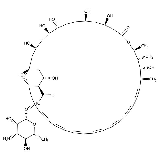 Amphotericin B, Antibiotic Solution, MP Biomedicals
