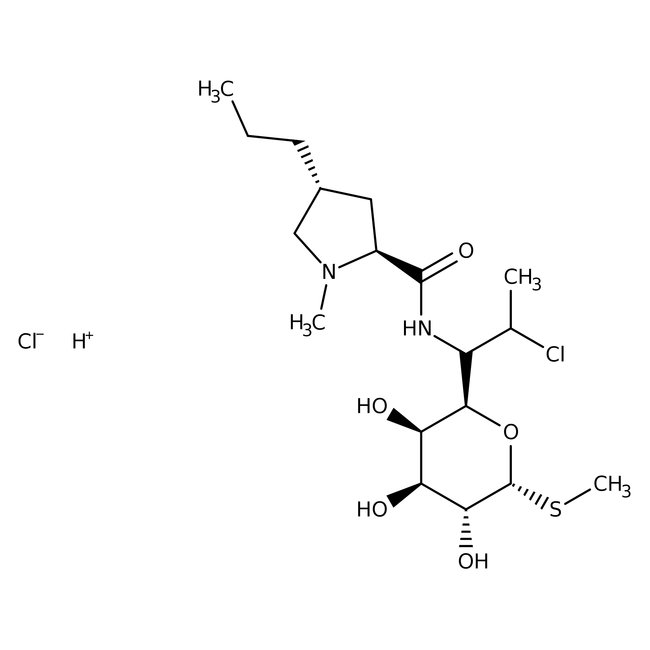 Clindamycin, White Powder, MP Biomedicals&trade;