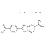 4',6-Diamidino-2-phenylindole dihydrochloride, &gt;98%, MP Biomedicals&trade;