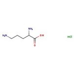 L-Ornithine hydrochloride, 99%