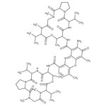 Actinomycin D Crystalline MP Biomedicals