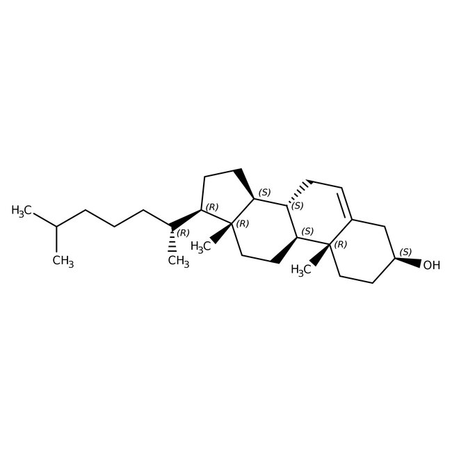 Cholesterol, NF Grade, MP Biomedicals