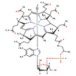 Vitamin B12, MP Biomedicals&trade;