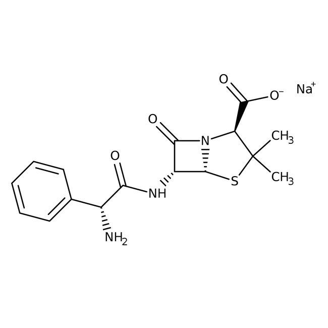 Ampicillin sodium salt
