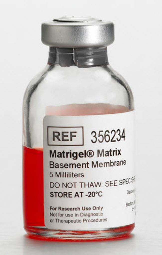 Matrigel&trade; Matrix