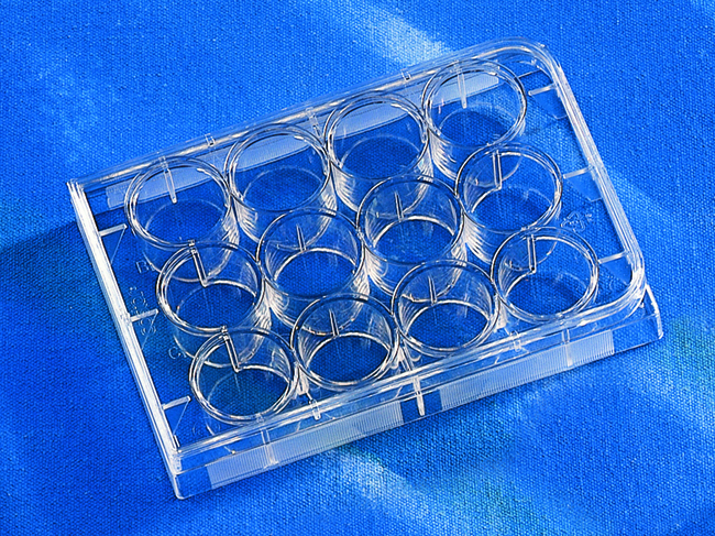Costar&trade; 12-well Clear TC-treated Multiple Well Plates, Individually Wrapped, Sterile