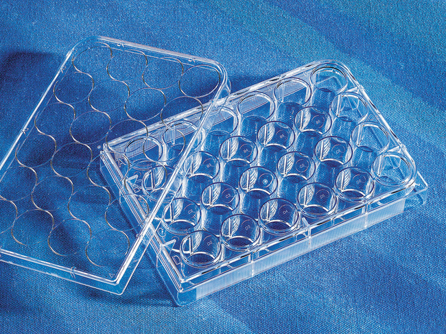 Costar&trade; 24-well Clear TC-treated Multiple Well Plates, Individually Wrapped, Sterile