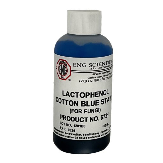 Lactophenol Cotton Blue Stain, Certified