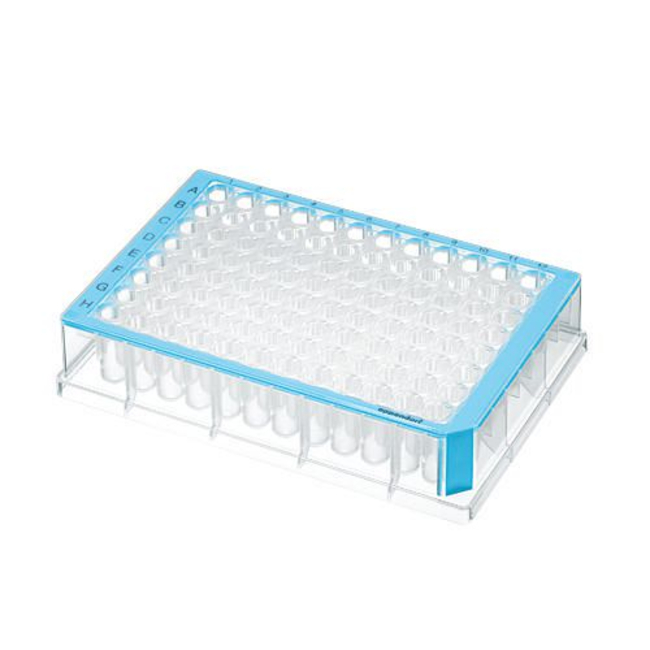 500&mu;L Polypropylene 96-Well Deep Well Plates