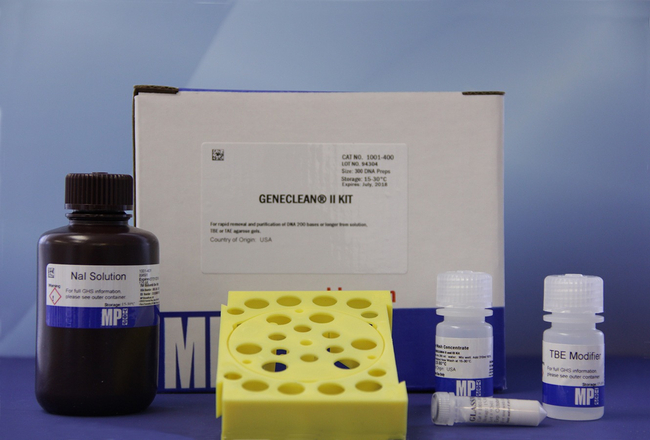 GeneClean II Kit