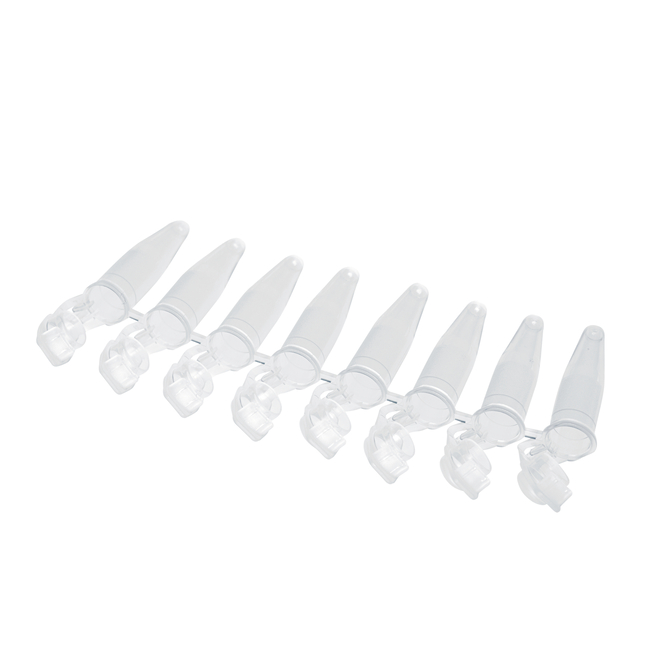 PCR Tubes - Singles and Strips
