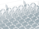 Deepwell Plates 96-well, 2000 &mu;L