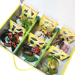 Life Cycle Figurines