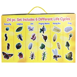 Life Cycle Figurines