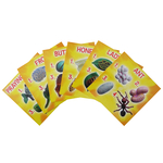 Life Cycle Figurines