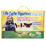 Life Cycle Figurines