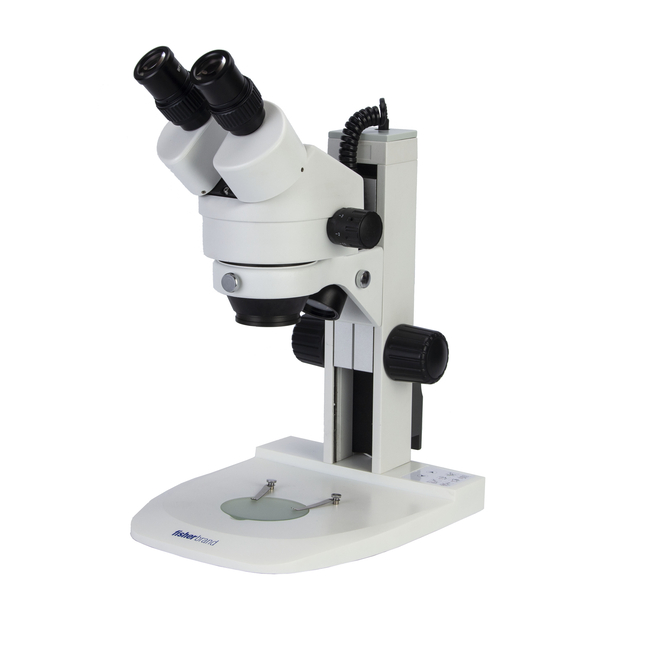 Research Grade Stereo Zoom Microscope Binocular | Contact Us | www ...