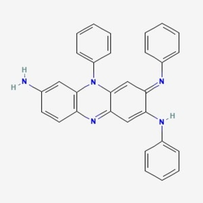Nigrosin Stain