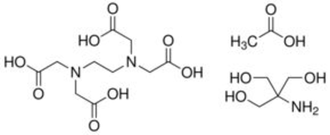 TAE 50X BUFFER, MP Biomedicals&trade;