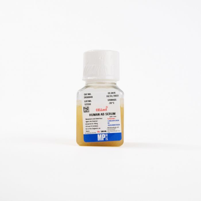 Serum, Type AB, Human, From Male Donors
