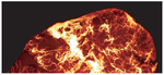 Fluoromount-G&trade; Slide Mounting Medium
