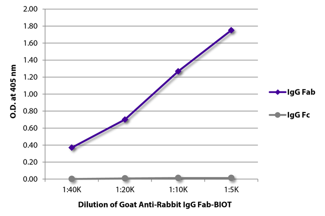 IgG Fab Goat anti-Rabbit, Biotin, Polyclonal, Southern Biotech&trade;