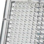 Clear Flat-Bottom Immuno Nonsterile 384-Well Plates