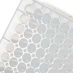 96-Well DeepWell&trade; Polypropylene Microplates