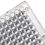 Clear Flat-Bottom Immuno Nonsterile 96-Well Plates