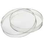 Nalgene&trade; Petri Dish