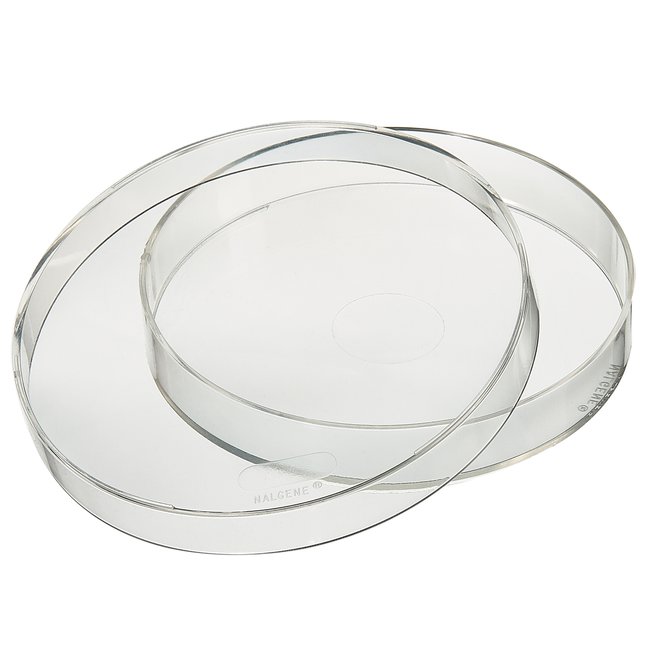 Nalgene&trade; Petri Dish