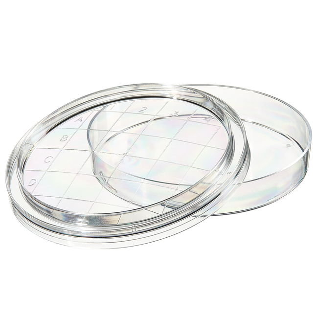 Sterilin&trade; 55mm Contact Plate