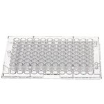Clear Flat-Bottom Immuno Nonsterile 96-Well Plates