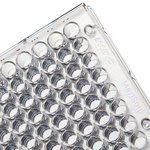 Clear Flat-Bottom Immuno Nonsterile 96-Well Plates