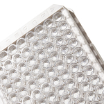 Plates and Modules with Affinity Binding Surfaces