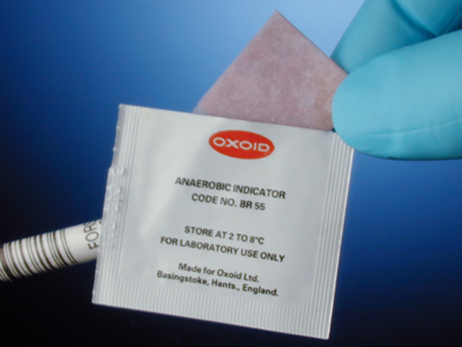 Oxoid&trade; Resazurin Anaerobic Indicator