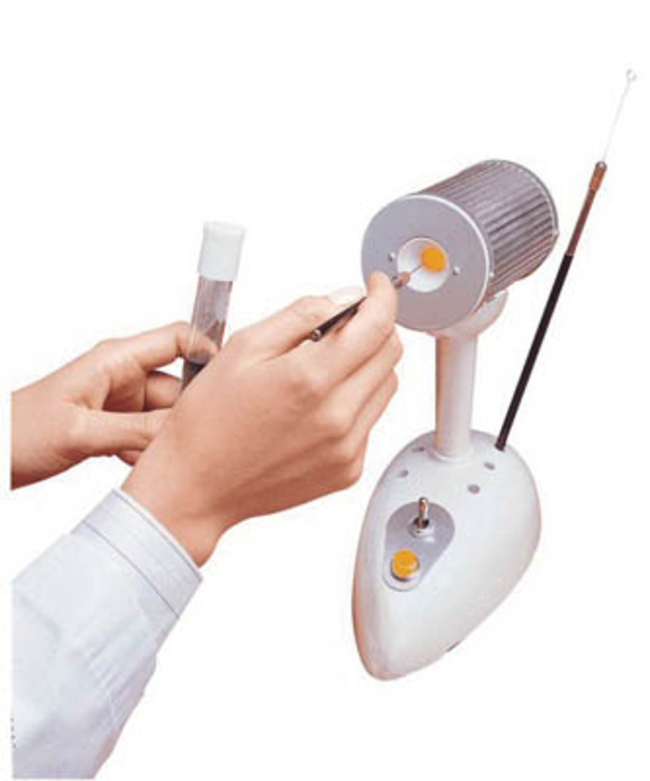 Bacti-Cinerator IV Infrared Sterilizer