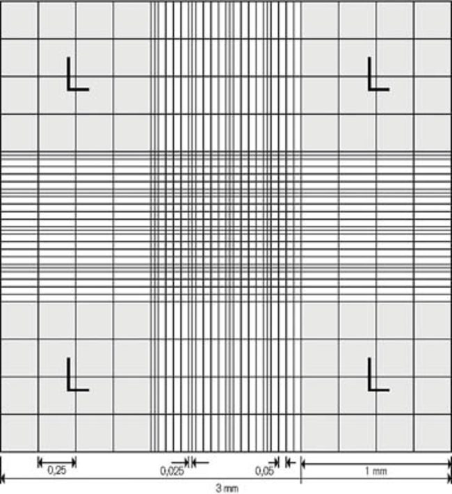 Counting Chambers, Neubauer Pattern, BLAUBRAND&trade;, double ruling