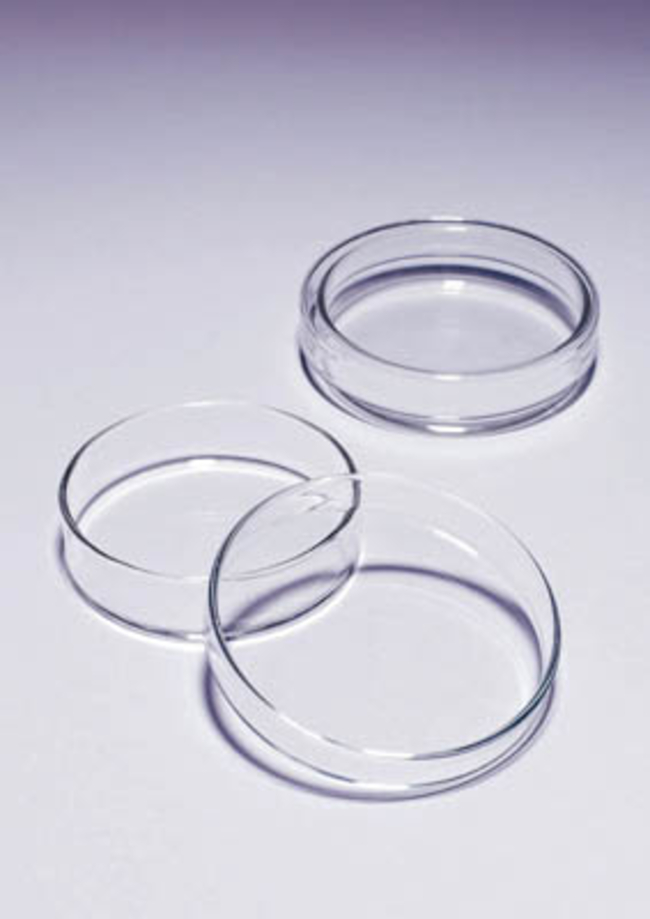 Pyrex&trade; Borosilicate Glass Petri Dishes