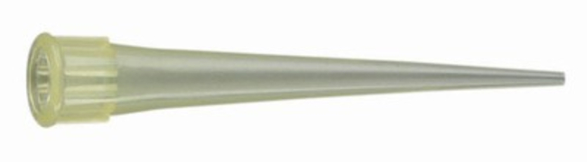 Polypropylene Yellow Pipet Tip E