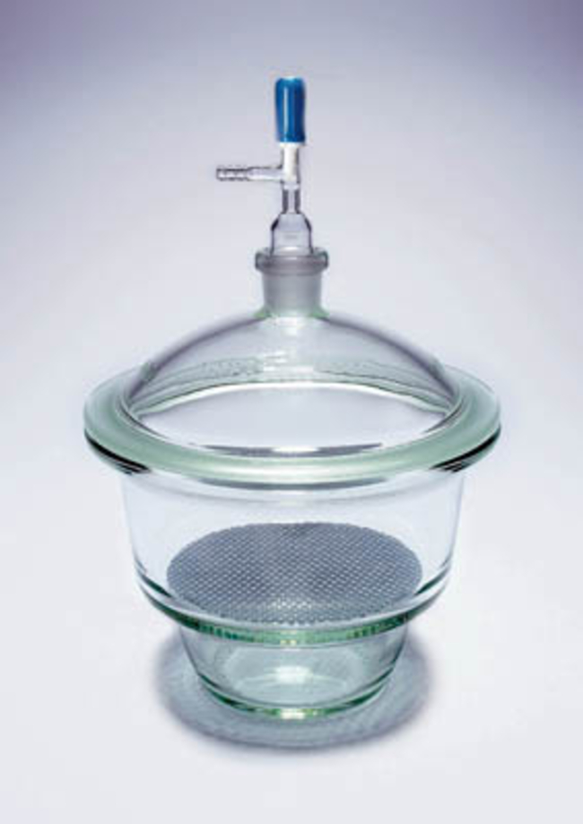 Pyrex&trade; Dessicator Plates