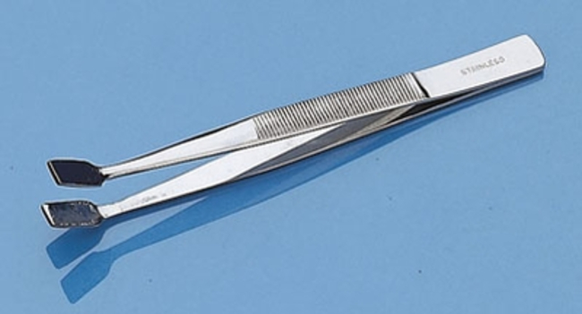 Stainless Steel Forceps