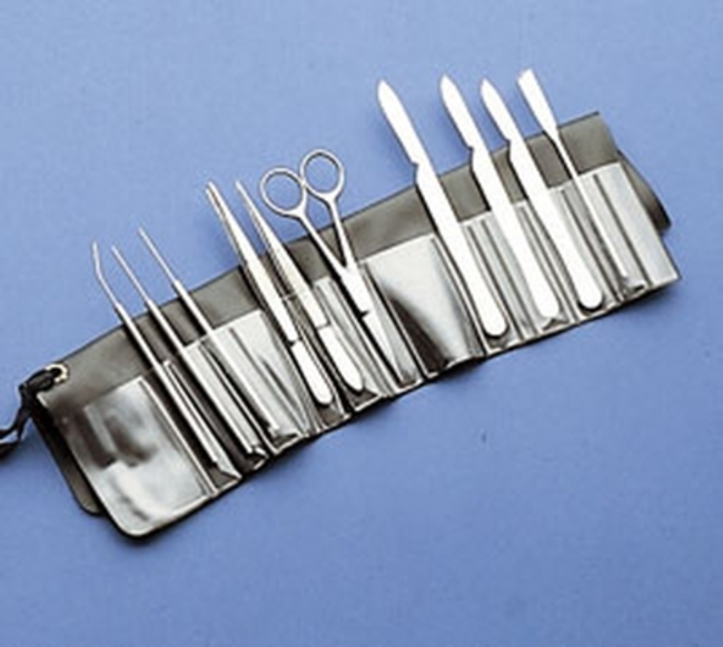 Dissecting Set in Plastic Wallet