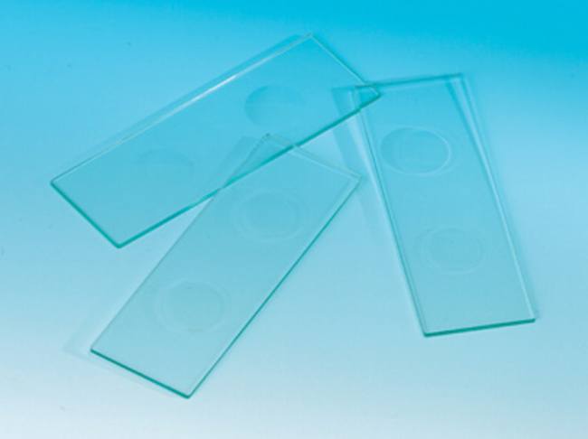 Microscope Slides with Cavities