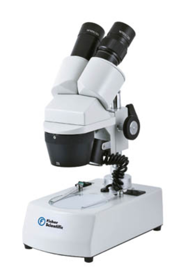 ST-30C Series Rear-facing Stereo Microscope