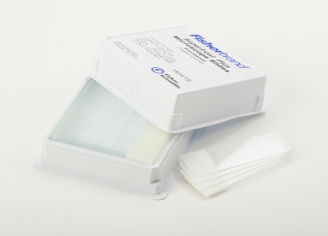 Superfrost&trade; Plus Microscope Slides
