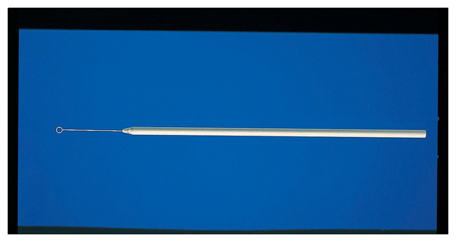 Nichrome/Aluminum Inoculating Loops 10 cm | Buy Online | Fisherbrand ...